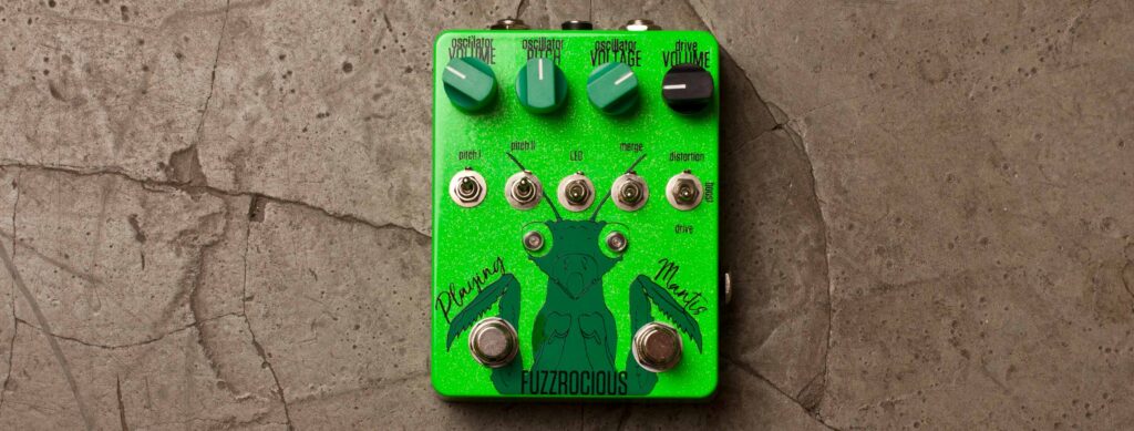 Fuzzrocious Playing Mantis